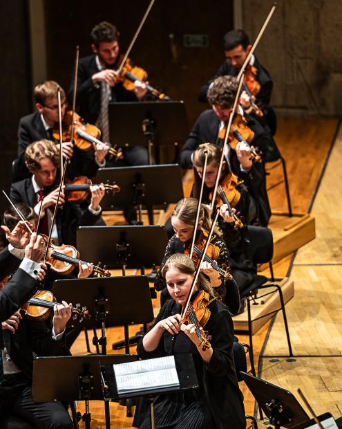 Streicher:innen des Hochschulsinfonieorchester in der Liederhalle 2024.
