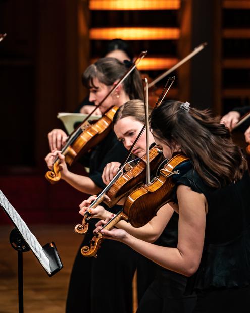 Studierende der Streicherklassen beim gemeinsamen Musizieren.