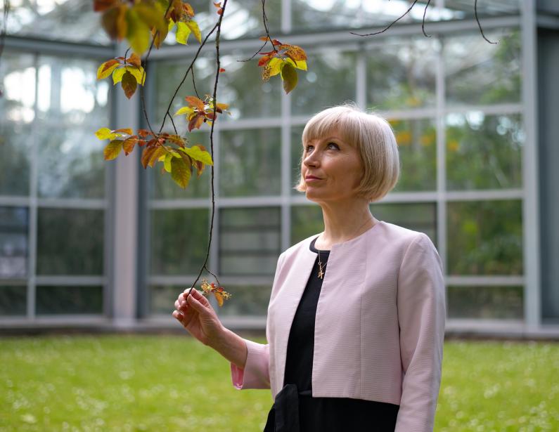 Portrait Julia Kunsek.