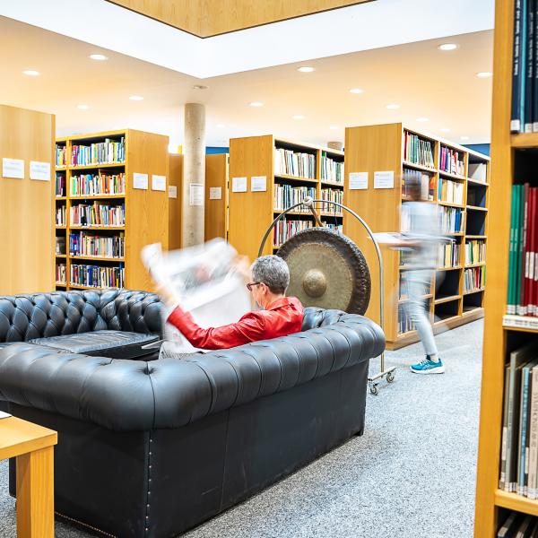 Auf dem Bild sind die Sofas in der Bibliothek und einige Bibliotheksregale zu sehen.