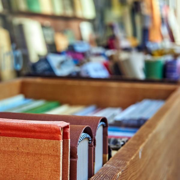 Das Bild zeigt bunte Bücher in Holzkisten.