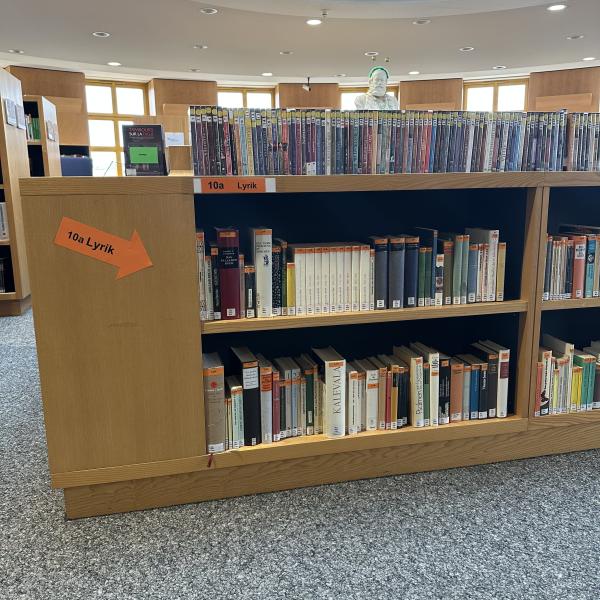 Das Bild zeigt ein Regal in der Bibliothek, in dem Lyeik-Bände stehen.