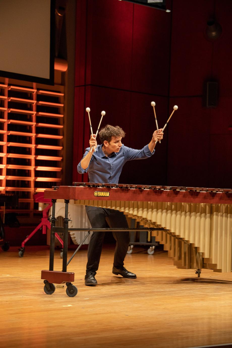Musizierender Schlagzeugstudent vor einem Marimaphon im Konzertsaal der HMDK.