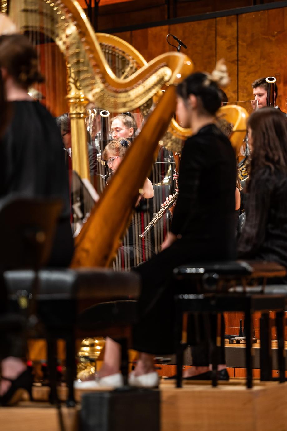 Seitenblick aus dem Orchester auf die Harfen- und Bläsergruppe des Hochschulsinfonieorchesters.