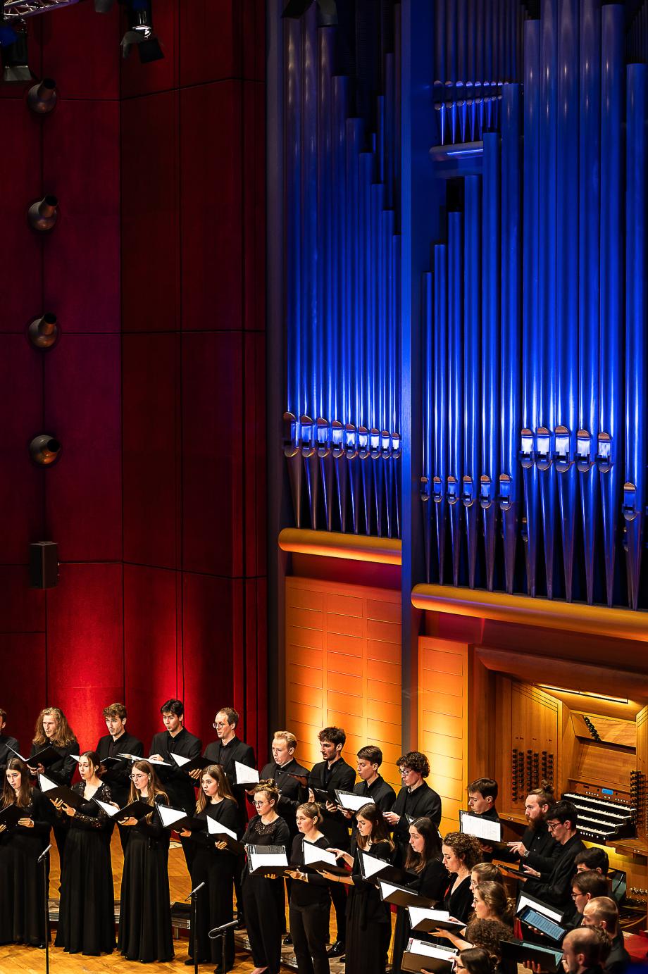 Mitglieder des Kammerchores vor dem beleuchteten Orgelprospekt der Konzertsaalorgel.