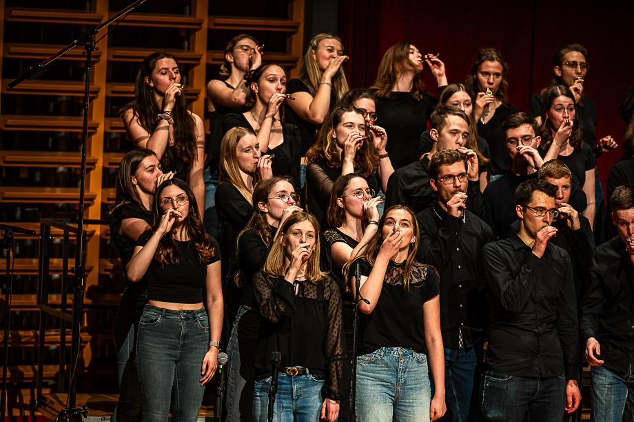 Der Popchor der HMDK Stuttgart.