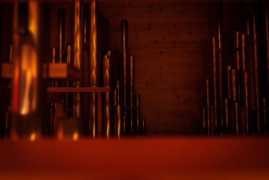 Blick in das Orgelinnere der Konzertsaalorgel. Es sind Dutzende von Orgelpfeifen in unterschiedlicher Höhe zu sehen.