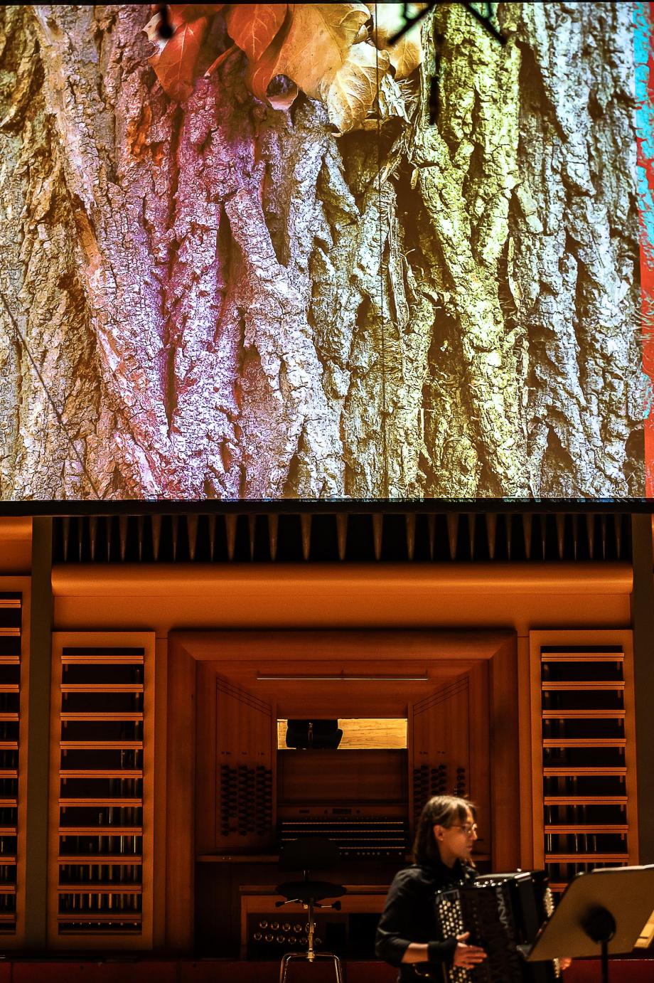 Das Orgelprospekt ist durch eine Leinwand verdeckt, in dem detaillierte eine Baumrinde und farbiges Laub zu sehen. Auf der rechten Seite ist der Oberkörper einer Akkordeonistin zu sehen.