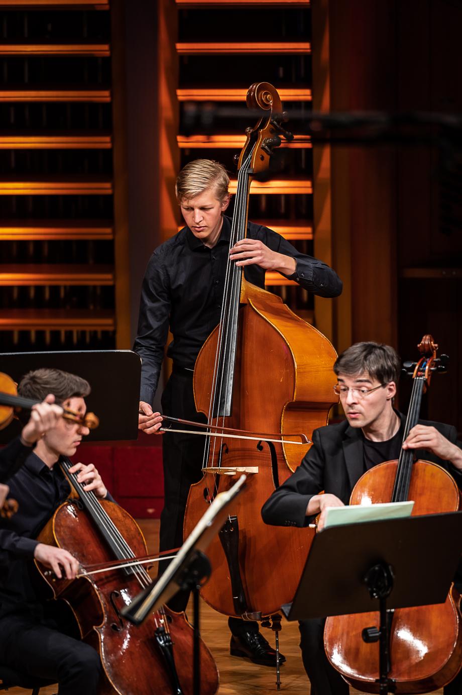 Students and teachers of the Bachelor of Music - Strings, Harp