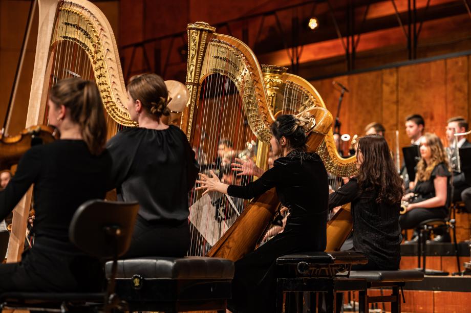Students and teachers of the Bachelor of Music - Strings, Harp