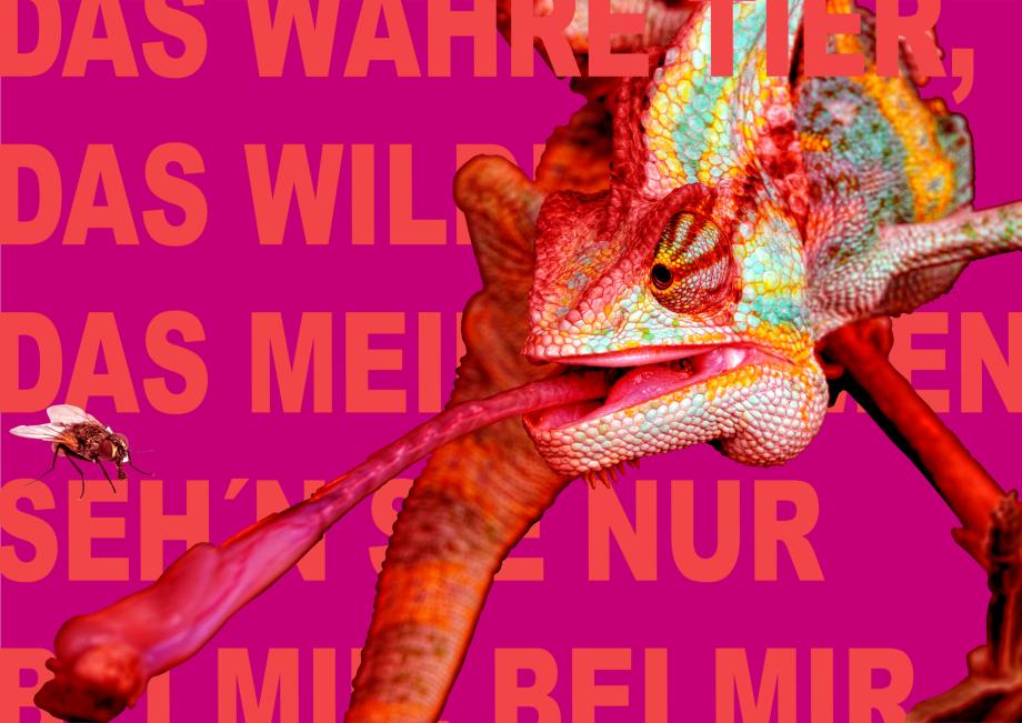 Plakat für Lulu