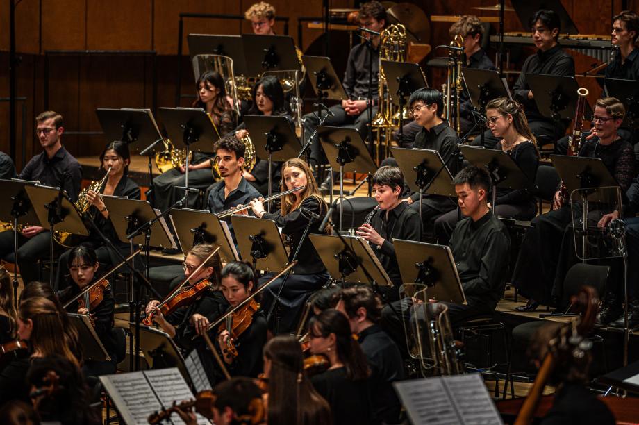 Orchestermitglieder aus dem Streicher, Holz- und Blechbläserbereich.