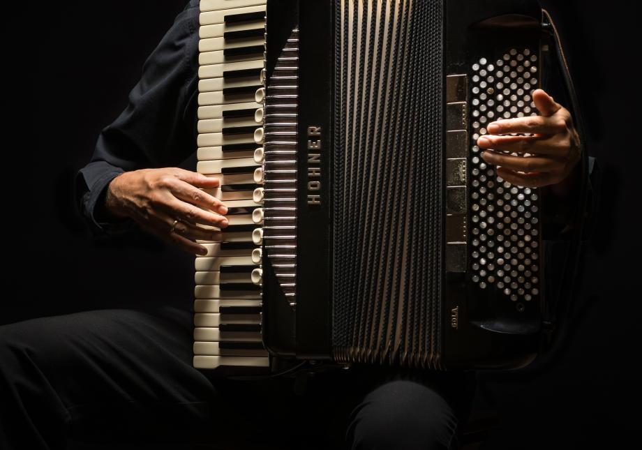 Bildausschnitt auf dem ein Akkordeon mit den Händen des Musikers zu sehen sind.