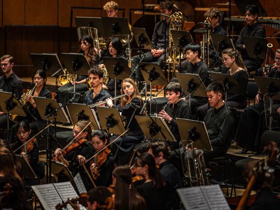 Orchestermitglieder aus dem Streicher, Holz- und Blechbläserbereich.