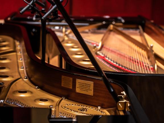 Der Ausschnitt eines schwarzen Flügels, mit Blick ins Innere, ist zu sehen.