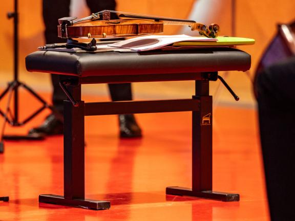 Musik für Viola