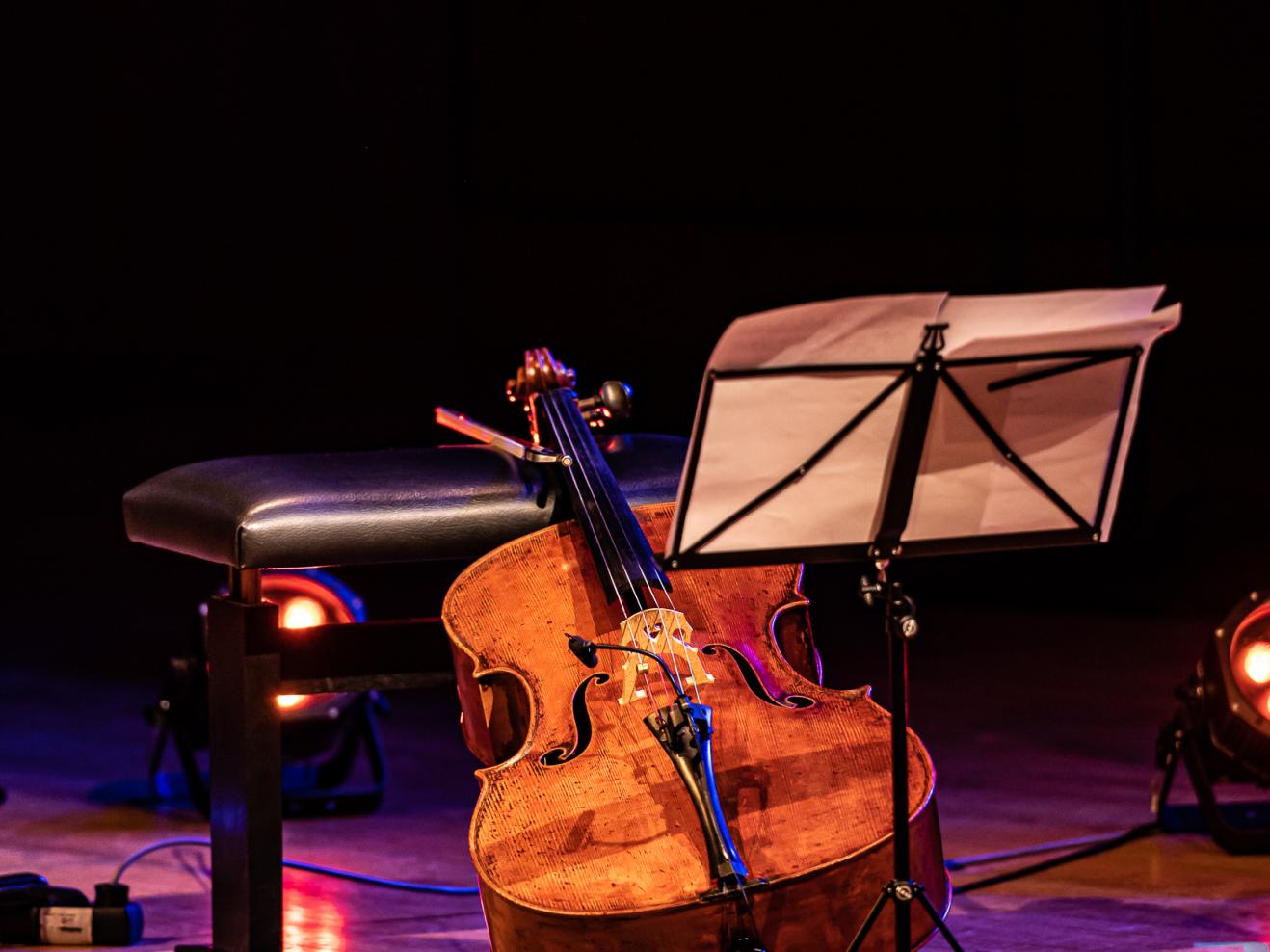 Seminar: Basics for freelance musicians