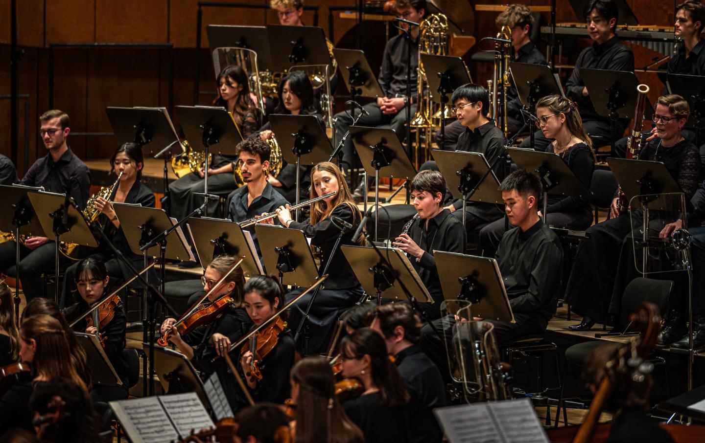 Orchestermitglieder aus dem Streicher, Holz- und Blechbläserbereich.